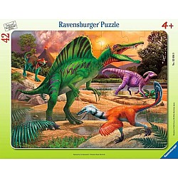 35-48pc Frame Puzzle (assorted)