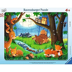 35-48pc Frame Puzzle (assorted)
