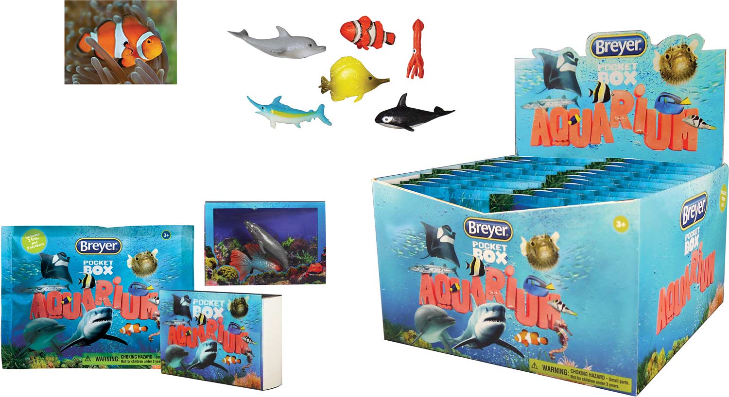 Pocket Box Aquarium - Kite and Kaboodle