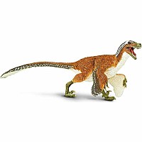 Dinosaur Feathered Velociraptor