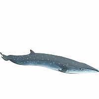 Sei Whale Toy
