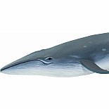 Sei Whale Toy
