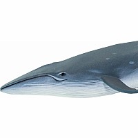 Sei Whale Toy