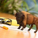 Bison Toy Figure