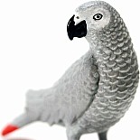 African Grey Parrot Toy Figure