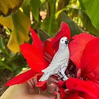 African Grey Parrot Toy Figure