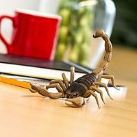 Scorpion Toy