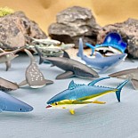 Pelagic Fish TOOB®