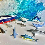 Pelagic Fish TOOB®