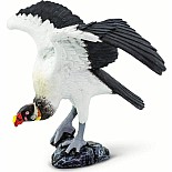 King Vulture