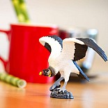 King Vulture