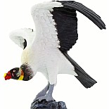 King Vulture