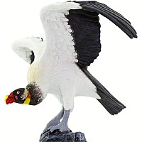 King Vulture