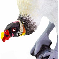 King Vulture