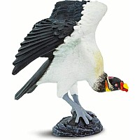 King Vulture