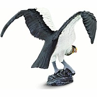 King Vulture