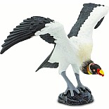 King Vulture