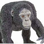 Chimpanzee Figure
