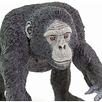 Chimpanzee Figure