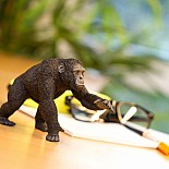 Chimpanzee Figure
