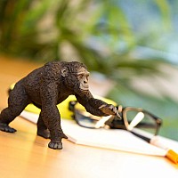 Chimpanzee Figure