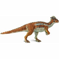 Pachycephalosaurus Toy
