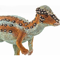 Pachycephalosaurus Toy