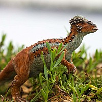 Pachycephalosaurus Toy