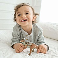 Pachycephalosaurus Toy