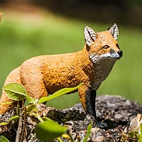 Red Fox Toy