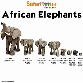 South African Animals TOOB®