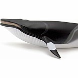 Minke Whale Sea Life Toy Figure