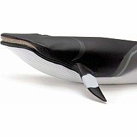 Minke Whale Sea Life Toy Figure