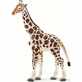 Giraffe Toy