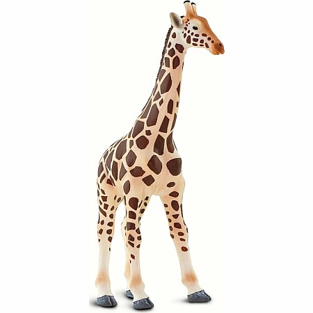 Giraffe Toy