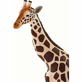 Giraffe Toy