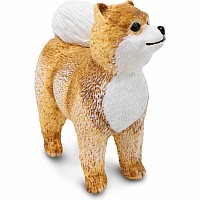 Pomeranian