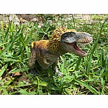 Dino Dana Feathered T-Rex