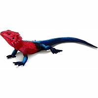 Mwanza Flat-Headed Rock Agama Toy Figure