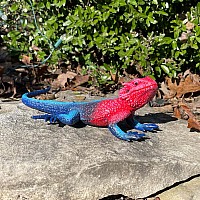 Mwanza Flat-Headed Rock Agama Toy Figure