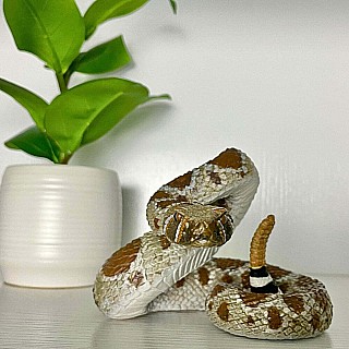 Western Diamondback Rattlesnake Toy