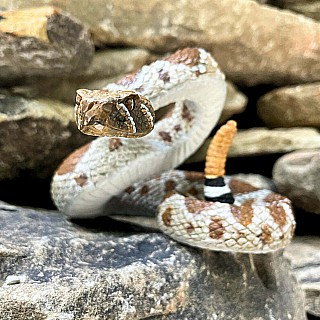 Western Diamondback Rattlesnake Toy