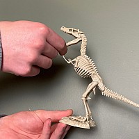 Dr. Steve Hunters GEOWorld Dino Dig Velociraptor Excavation Kit - 14 pieces