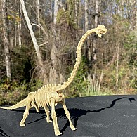 Dr. Steve Hunters GEOWorld Dino Dig Brachiosaurus Excavation Kit - 14 pieces