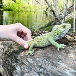 Tuatara Toy Figure