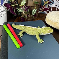 Tuatara Toy Figure