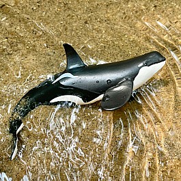 Type D Orca Toy Figure