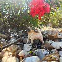 Pug Toy Dog Figure