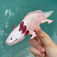 Axolotl Toy Figure
