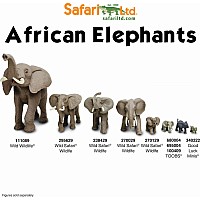 African Elephant